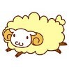 profile-kosya-sheep.jpg