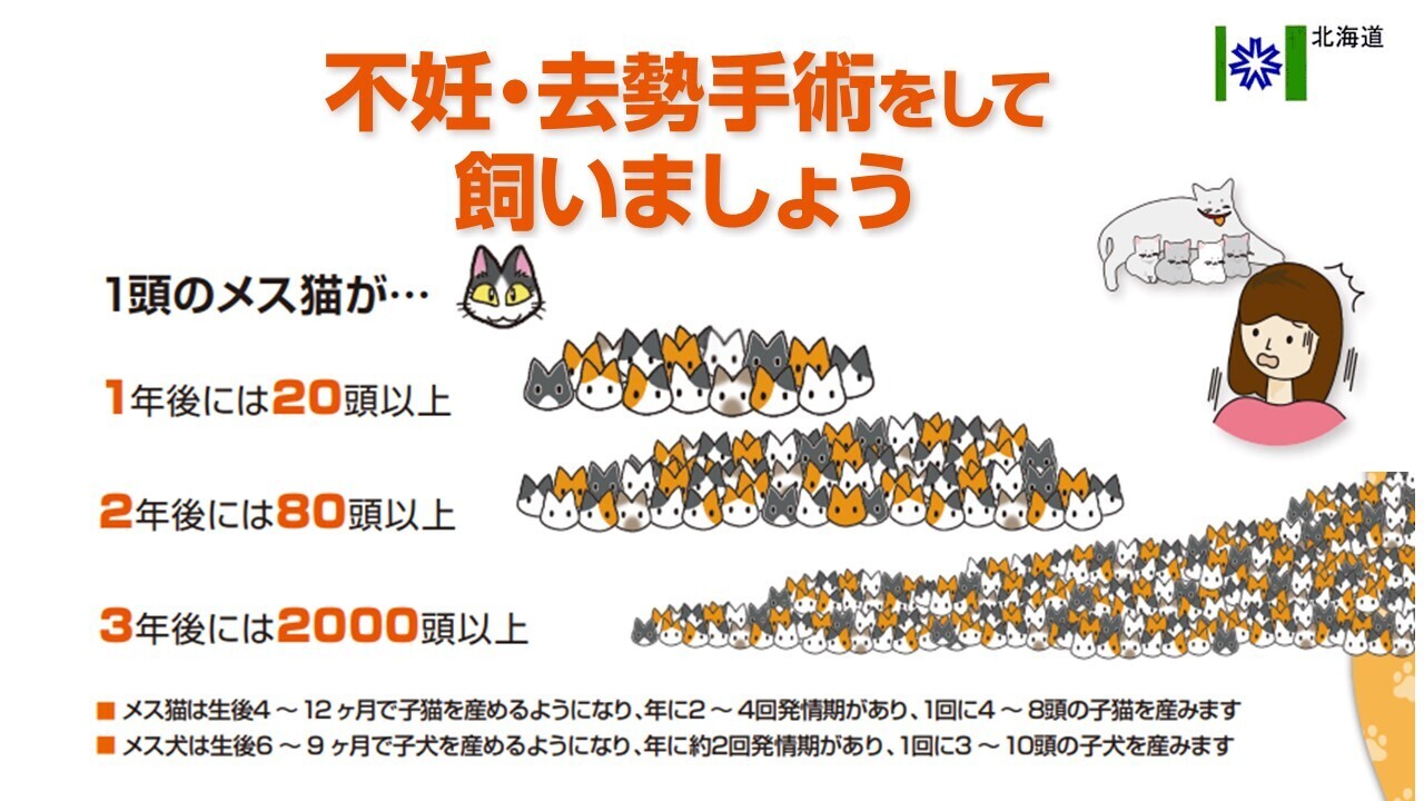 避妊去勢手術をして飼いましょう.jpg