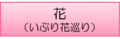 花のボタン
