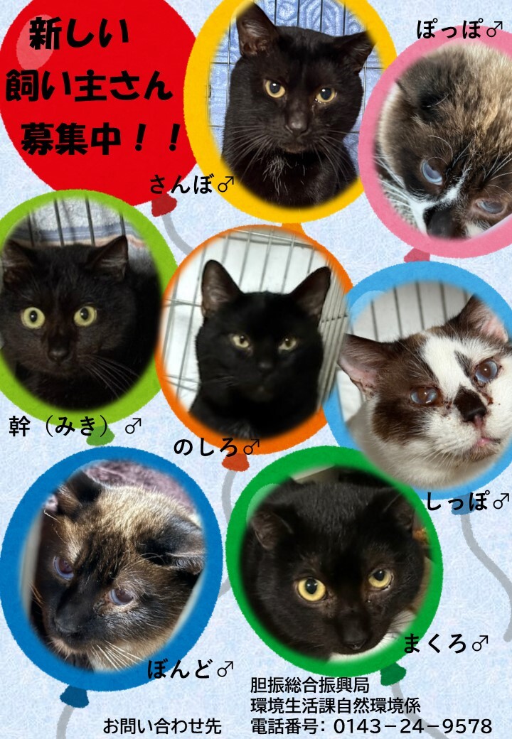 新しい飼い主さん募集中！！