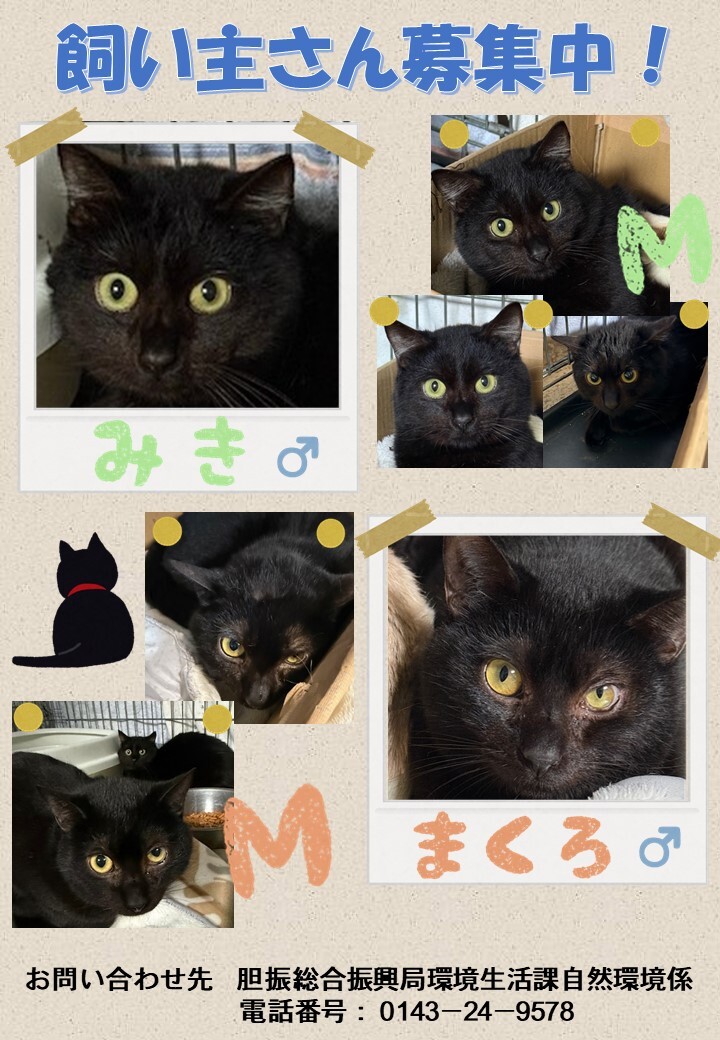 新しい飼い主さん募集中！！