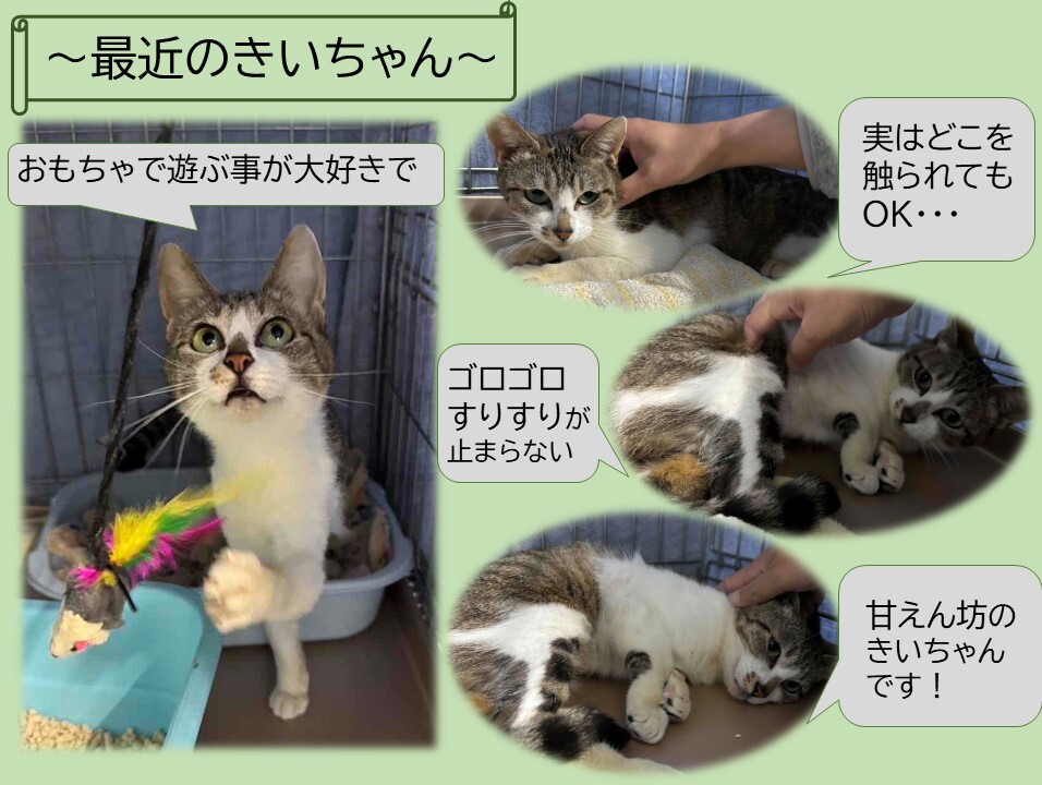 5.26更新 (JPG 144KB)