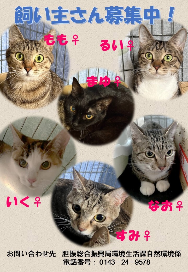 飼い主募集