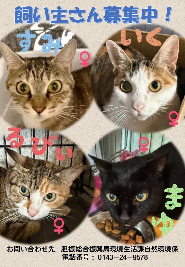 飼い主募集