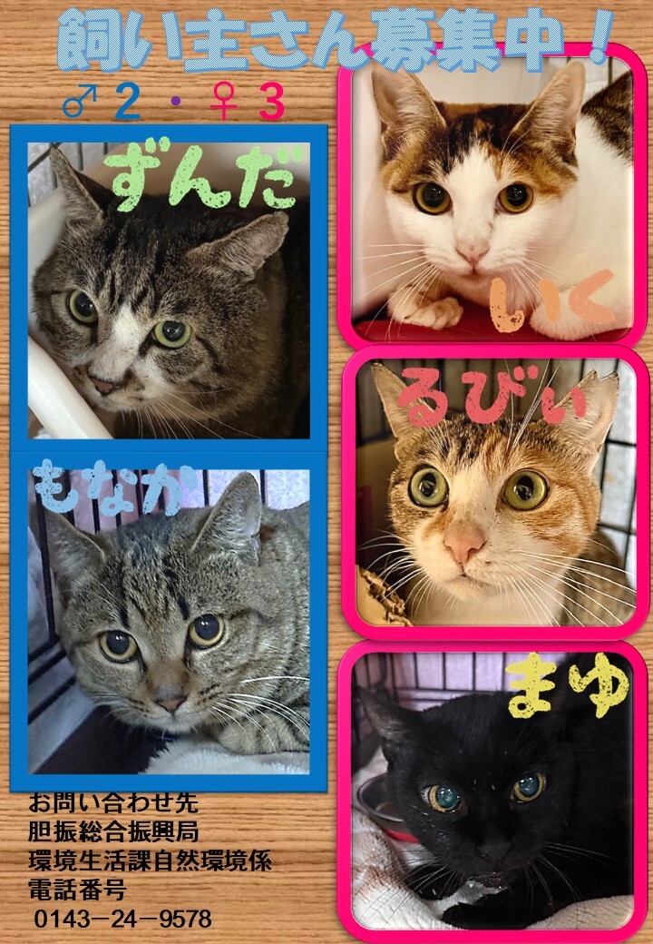 飼い主募集20250710.jpg
