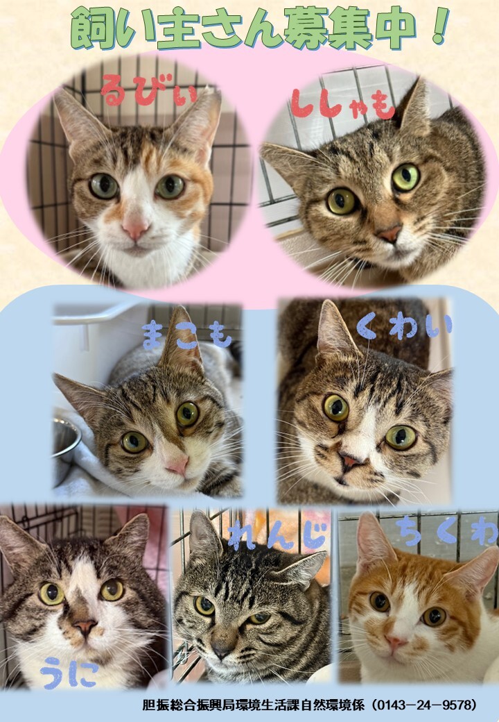 飼い主募集
