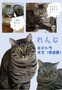 れんじ.jpg