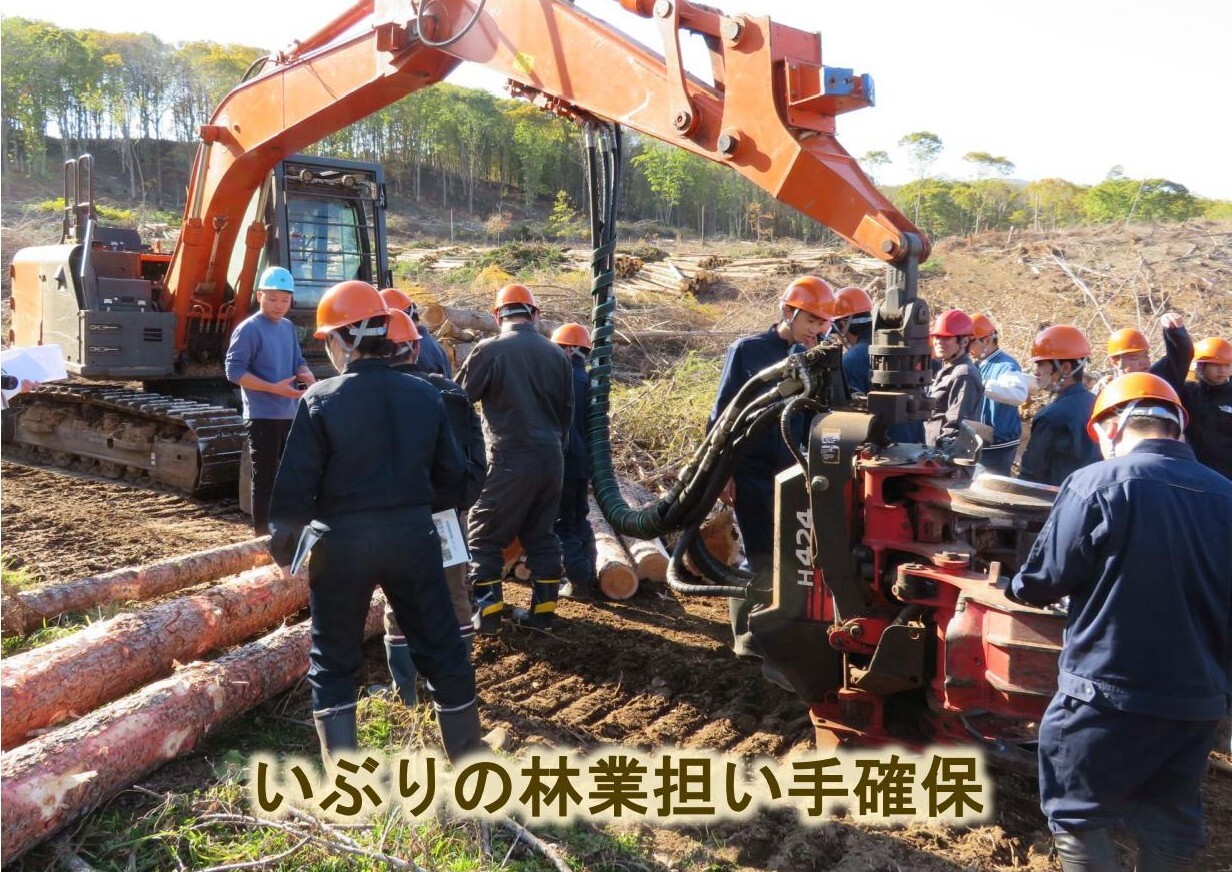 いぶりの林業担い手確保