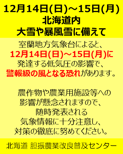 【胆振管内】12月14日(日)～15日(月)大雪や暴風雪に備えて
