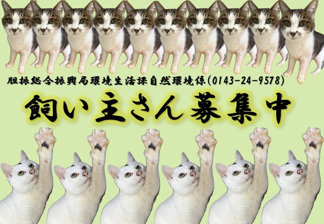 ボシュウチュウ