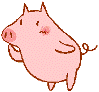 profile-pig.gif