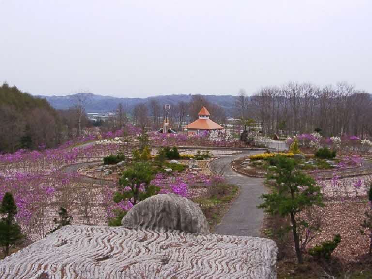 道民の森１