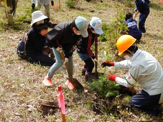 植樹祭