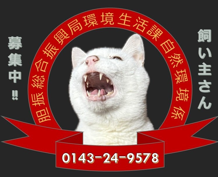 飼い主さん募集中!!